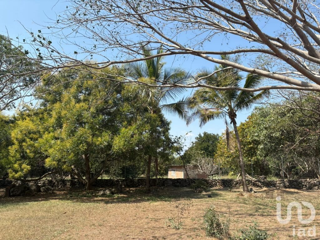 TERRENO EN VENTA CON VARIEDAD DE VEGETACIÓN TROPICAL EN COMALA, NOGUERAS, COLIMA. - 2324953 terreno en venta terreno en venta con variedad de vegetacion tropical en comala nogueras colima 287804