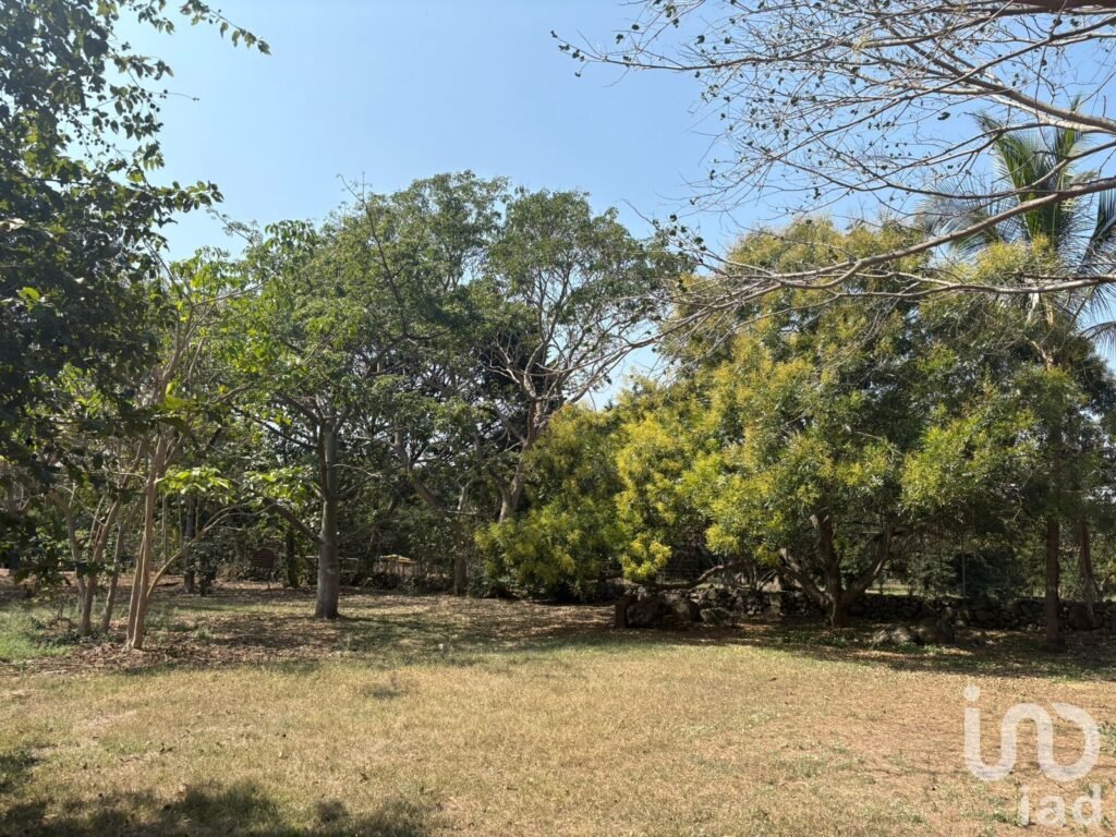 TERRENO EN VENTA CON VARIEDAD DE VEGETACIÓN TROPICAL EN COMALA, NOGUERAS, COLIMA.