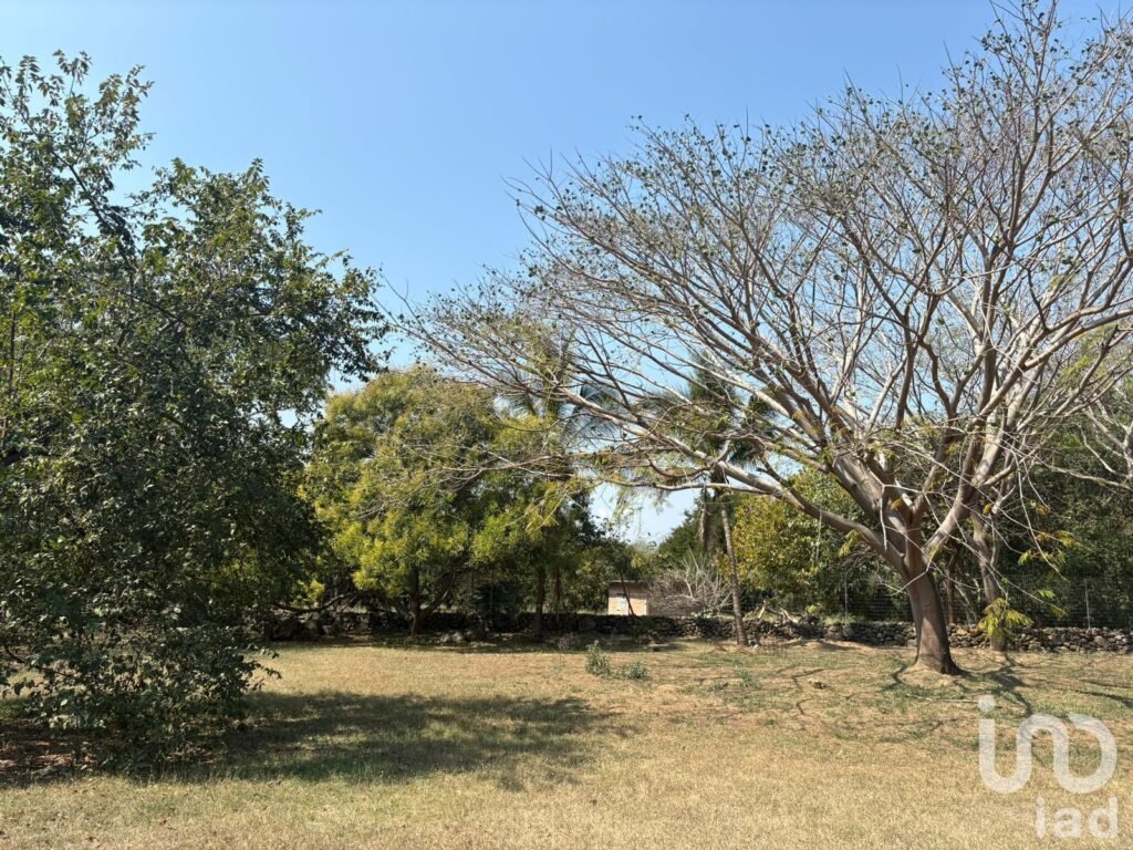 TERRENO EN VENTA CON VARIEDAD DE VEGETACIÓN TROPICAL EN COMALA, NOGUERAS, COLIMA.