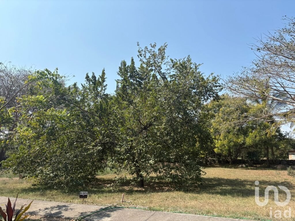 TERRENO EN VENTA CON VARIEDAD DE VEGETACIÓN TROPICAL EN COMALA, NOGUERAS, COLIMA.