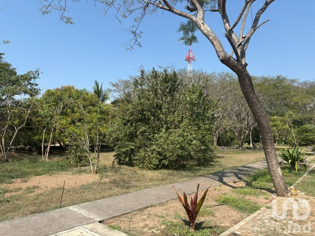 TERRENO EN VENTA CON VARIEDAD DE VEGETACIÓN TROPICAL EN COMALA, NOGUERAS, COLIMA.
