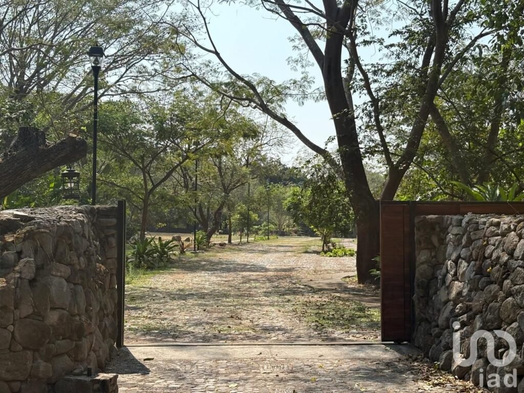 TERRENO EN VENTA CON VARIEDAD DE VEGETACIÓN TROPICAL EN COMALA, NOGUERAS, COLIMA.