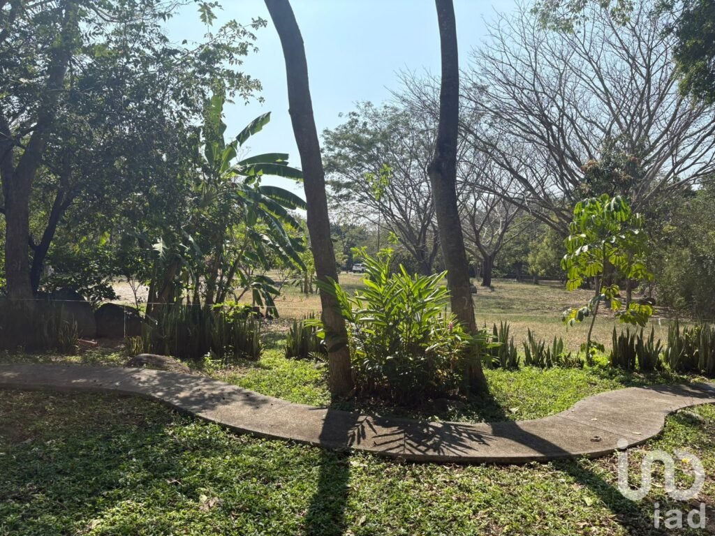 TERRENO EN VENTA CON VARIEDAD DE VEGETACIÓN TROPICAL EN COMALA, NOGUERAS, COLIMA.