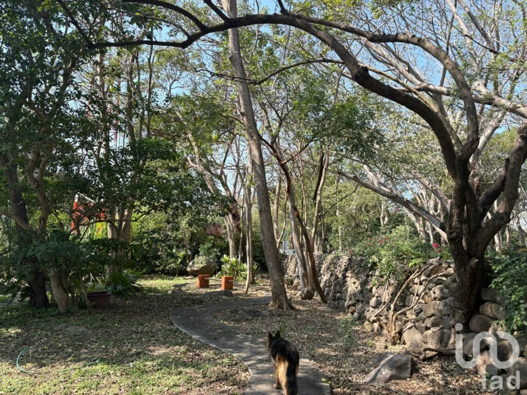 TERRENO EN VENTA CON VARIEDAD DE VEGETACIÓN TROPICAL EN COMALA, NOGUERAS, COLIMA.