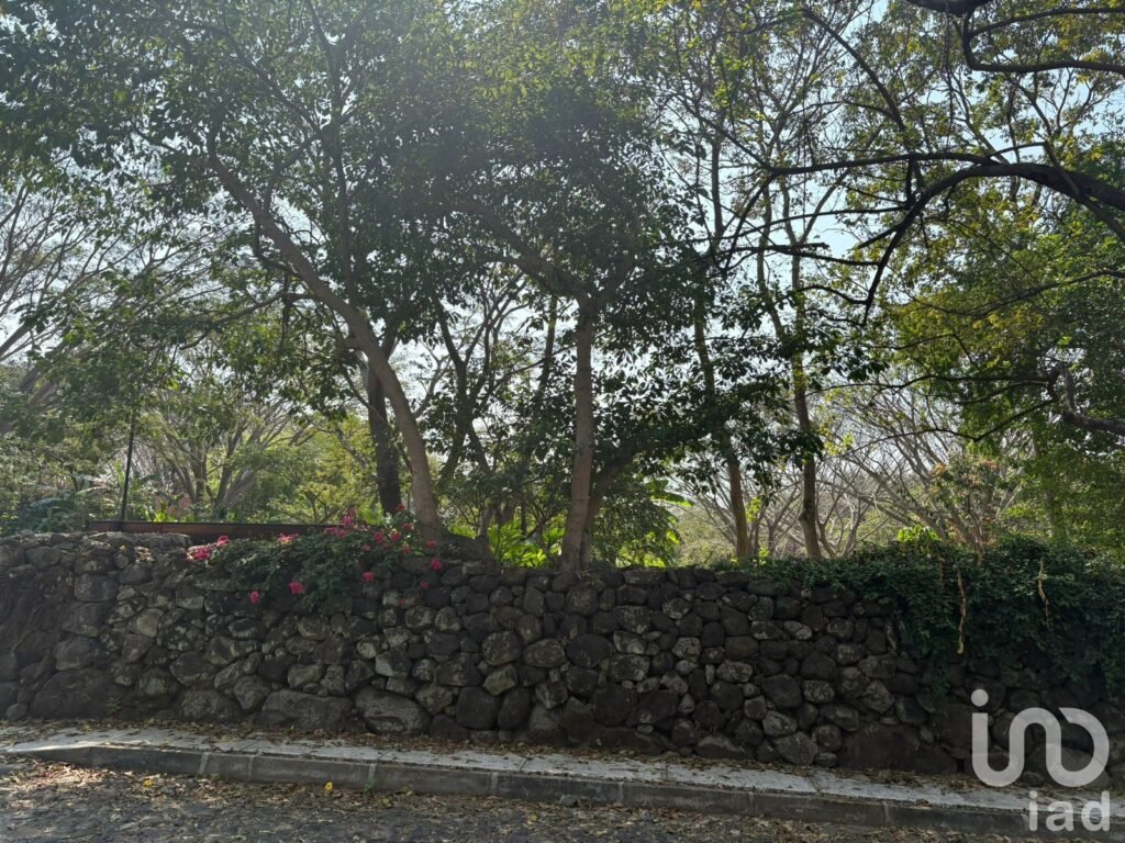 TERRENO EN VENTA CON VARIEDAD DE VEGETACIÓN TROPICAL EN COMALA, NOGUERAS, COLIMA.