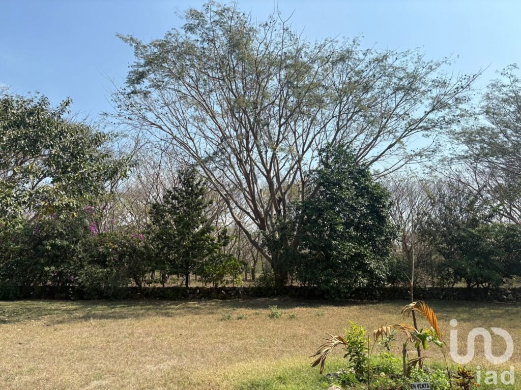 TERRENO EN VENTA EN COTO PRIVADO EN MEDIO DE LA NATURALEZA, COMALA, COLIMA.