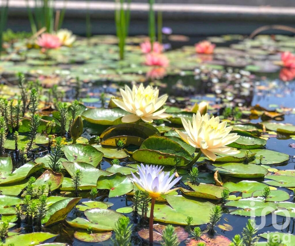 Casa en Venta en Castilla la nueva residencial