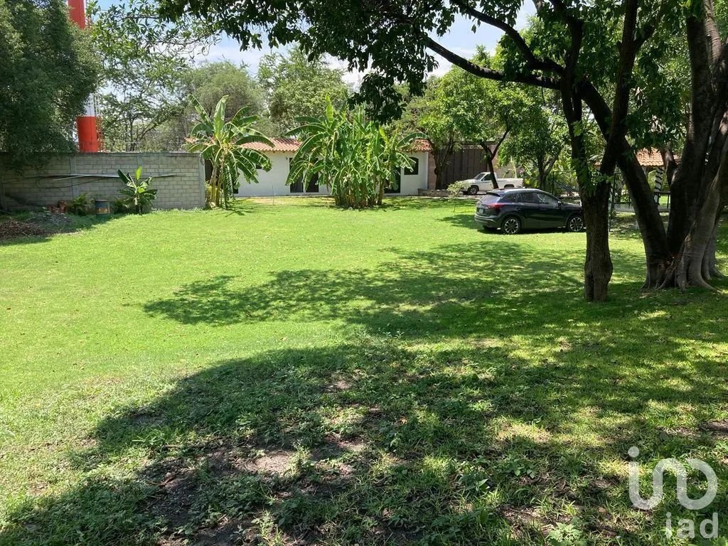 Sbr / hermosa casa con amplio terreno en morelos