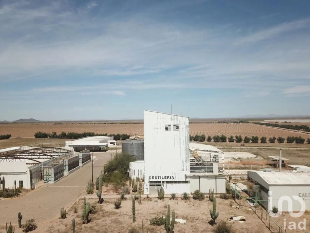 EXCELENTE PLANTA INDUSTRIAL EN VENTA, SONORA.