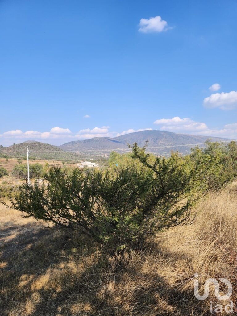 TERRENO EN VENTA EN SAN MARTIN DE LAS PIRAMIDES