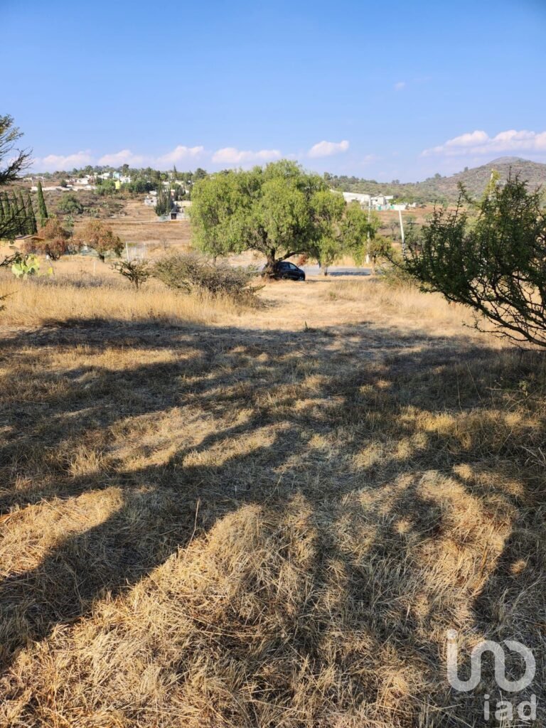 TERRENO EN VENTA EN SAN MARTIN DE LAS PIRAMIDES