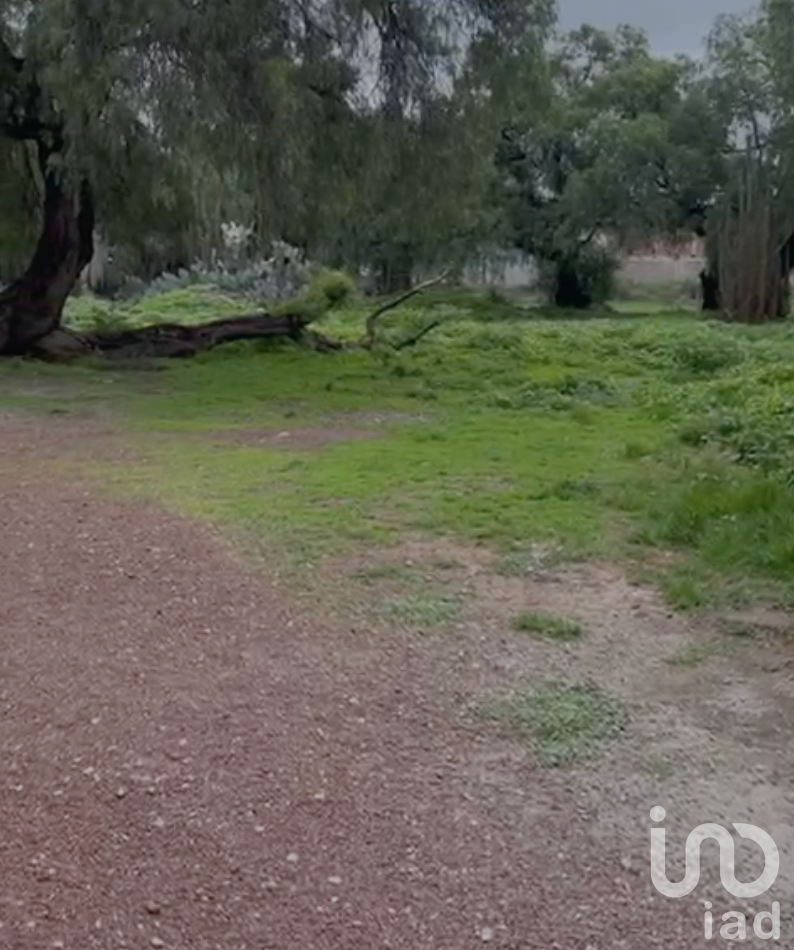 TERRENO en VENTA en Barrio Atempa, Tizayuca Hidalgo