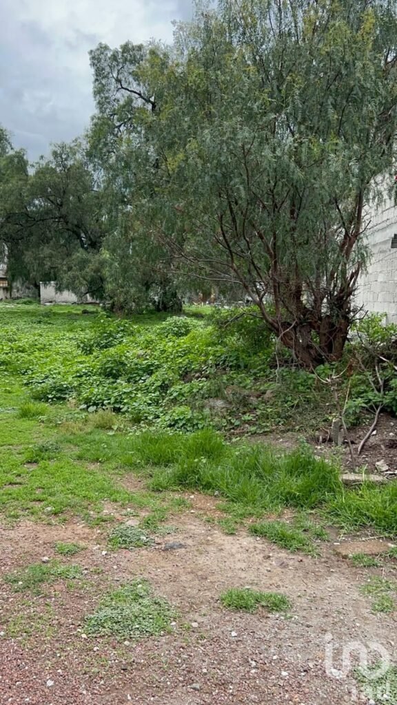 TERRENO en VENTA en Barrio Atempa, Tizayuca Hidalgo