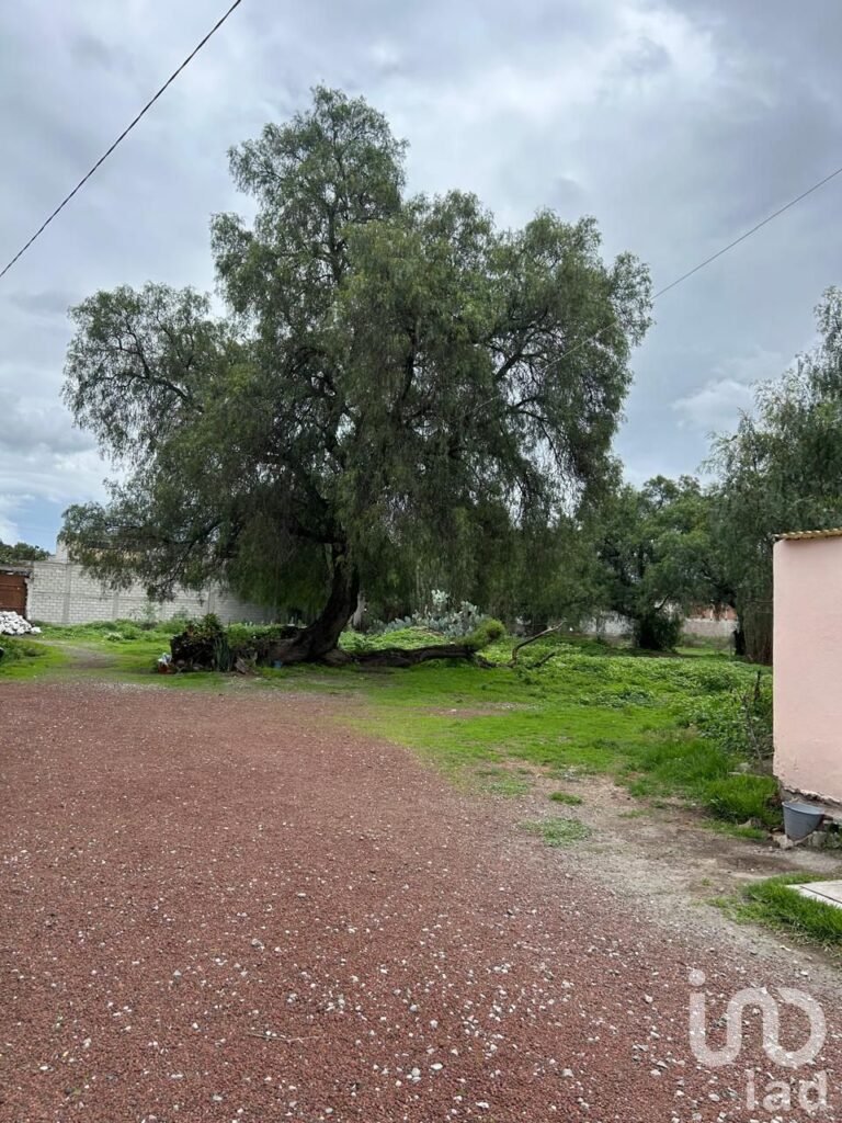 TERRENO en VENTA en Barrio Atempa, Tizayuca Hidalgo