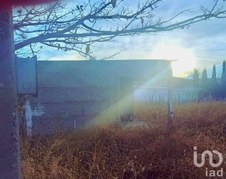 TERRENO EN VENTA EN COLONIA MADERO, CASAS GRANDES, CHIHUAHUA