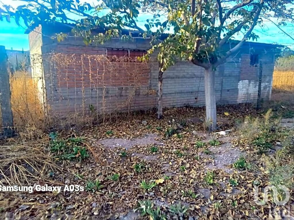 TERRENO EN VENTA EN COLONIA MADERO, CASAS GRANDES, CHIHUAHUA