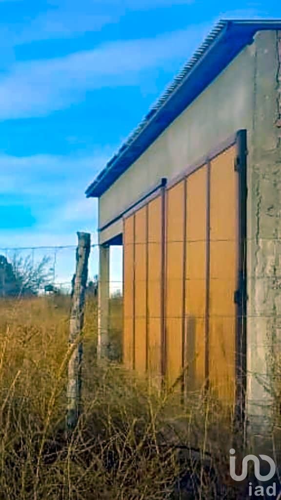 TERRENO EN VENTA EN COLONIA MADERO, CASAS GRANDES, CHIHUAHUA