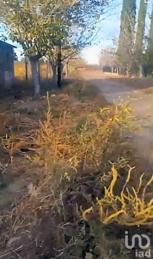 TERRENO EN VENTA EN COLONIA MADERO, CASAS GRANDES, CHIHUAHUA