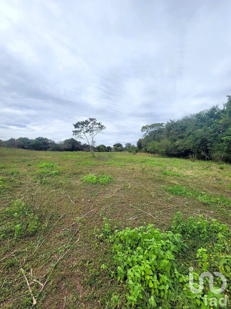TERRENO CON POZO A ORILLA DE CARRETERA  FRENTE A COLEGIO DE POSTGRADUADOS VERACRUZ