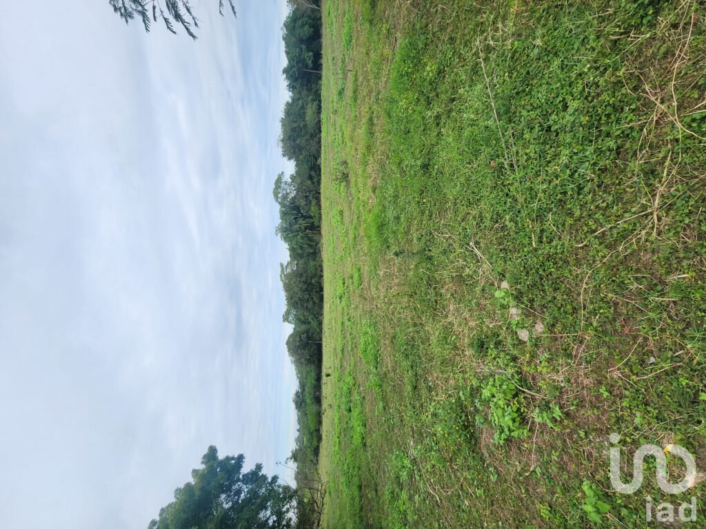 TERRENO CON POZO A ORILLA DE CARRETERA FRENTE A COLEGIO DE POSTGRADUADOS VERACRUZ - 2332723 terreno en venta terreno con pozo a orilla de carretera frente a colegio de postgraduados veracruz 290011