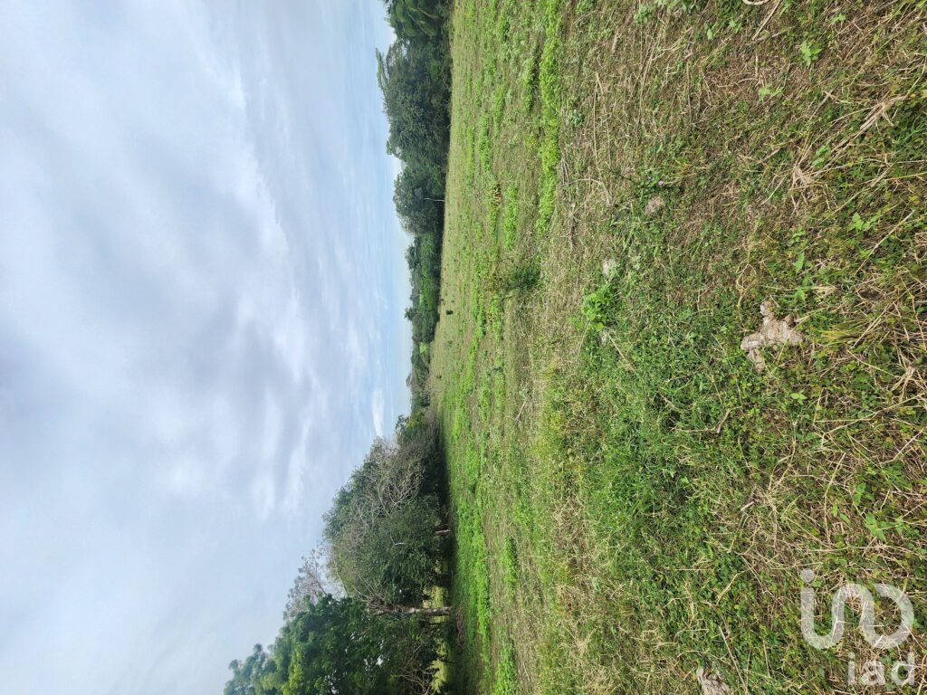 TERRENO CON POZO A ORILLA DE CARRETERA  FRENTE A COLEGIO DE POSTGRADUADOS VERACRUZ