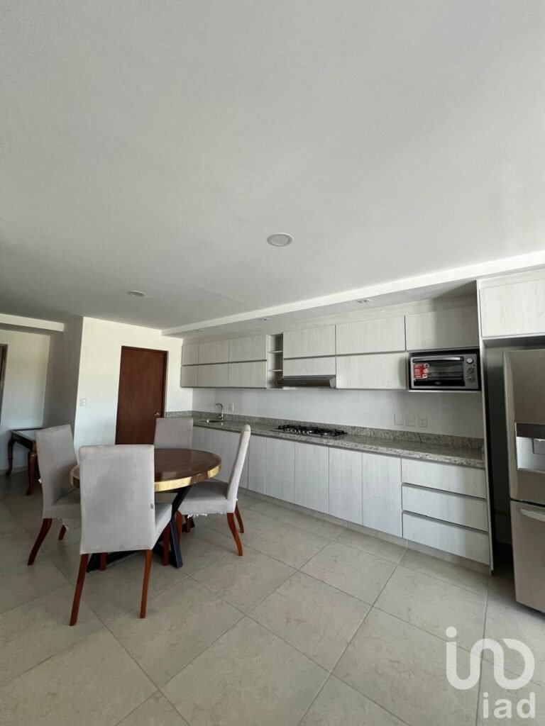 PENTHOUSE CON ROOF GARDEN EN RENTA EN BAJADA CHAPULTEPEC A UNOS PASOS DEL PARQUE CHAPULTEPEC