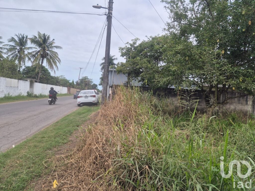 Terreno en venta localidad Matacocuite