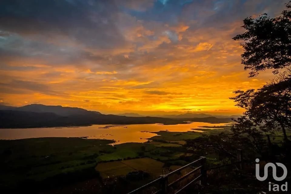 VENTA MACROLOTE CAFETERO EN LA CONCORDIA, VILLAFLORES CHIAPAS
