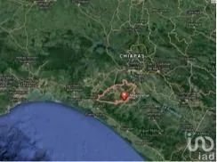 VENTA MACROLOTE CAFETERO EN LA CONCORDIA, VILLAFLORES CHIAPAS