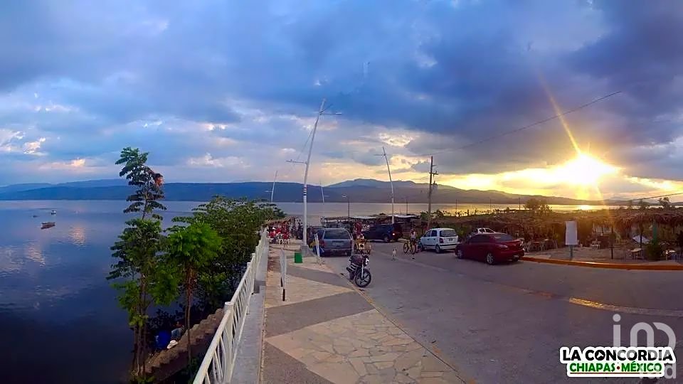 VENTA MACROLOTE CAFETERO EN LA CONCORDIA, VILLAFLORES CHIAPAS