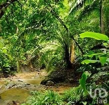 Oportunidad!!!! Terreno en CANCÚN, cerca de Cenotes y Tren Maya