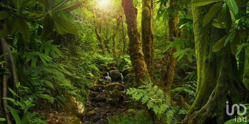 Oportunidad!!!! Terreno en CANCÚN, cerca de Cenotes y Tren Maya