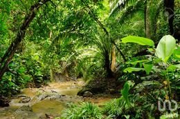 Oportunidad!!!! Terreno en CANCÚN, cerca de Cenotes y Tren Maya - 2333195 terreno en venta oportunidad terreno en cancun cerca de cenotes y tren maya 287191