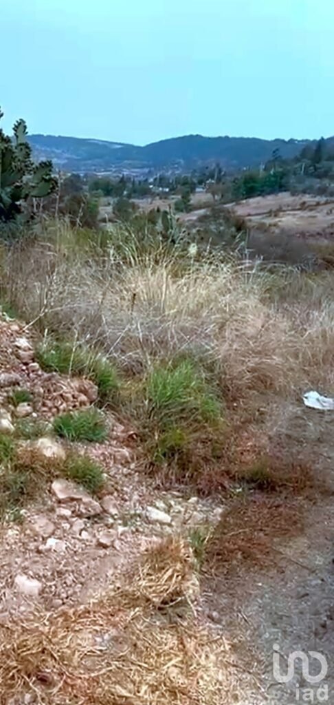 VENDO TERRENO EN QUERETARO AMEALCO