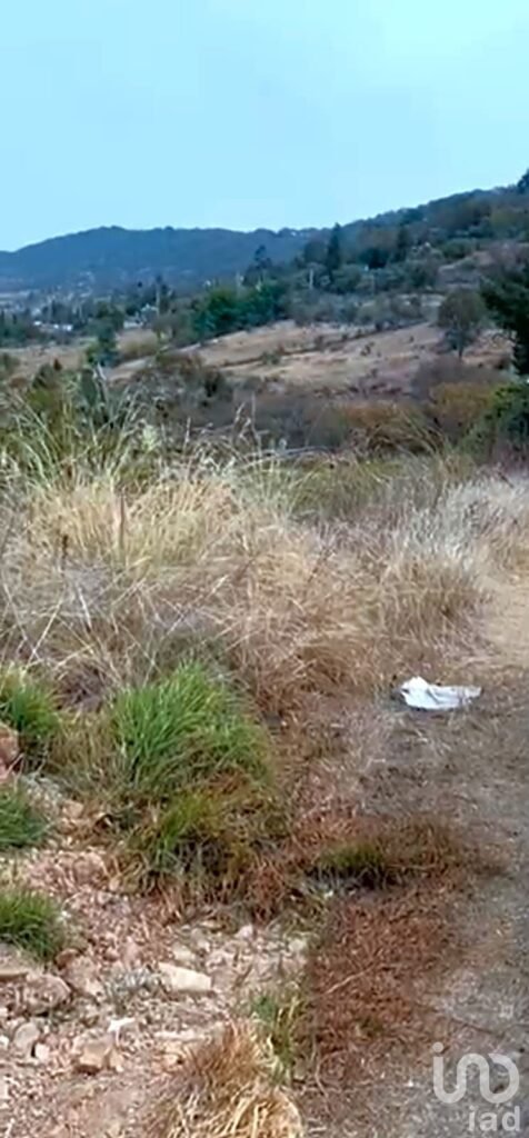 VENDO TERRENO EN QUERETARO AMEALCO