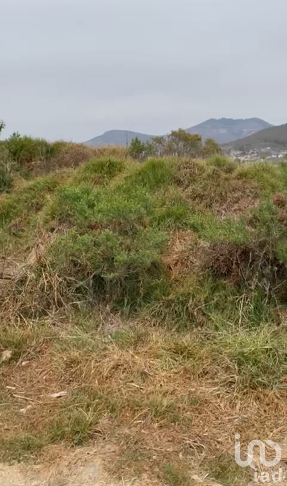 VENDO TERRENO EN QUERETARO AMEALCO VENDO TERRENO EN QUERETARO AMEALCO