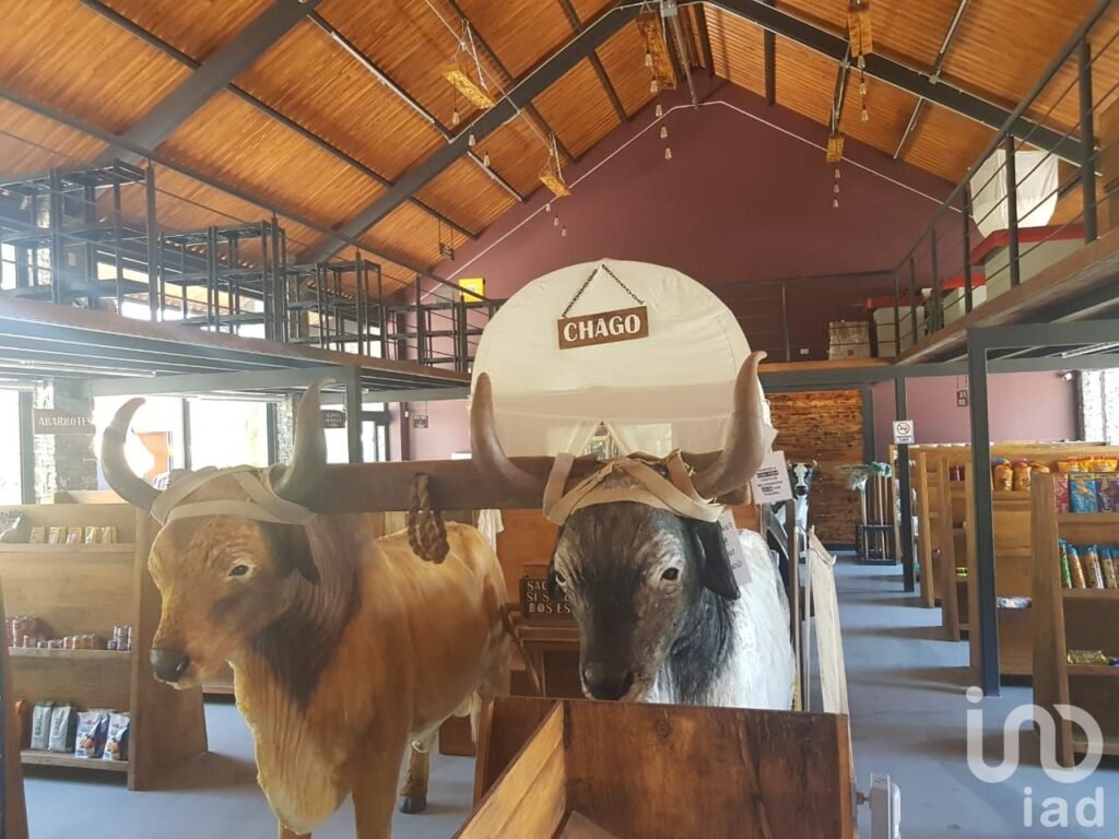 Terreno en venta,Barrio  de La Cañada ,Tepeji del río de ocampo