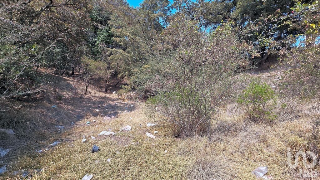 Terreno en Venta en Loma del Rio Nicolas Romero