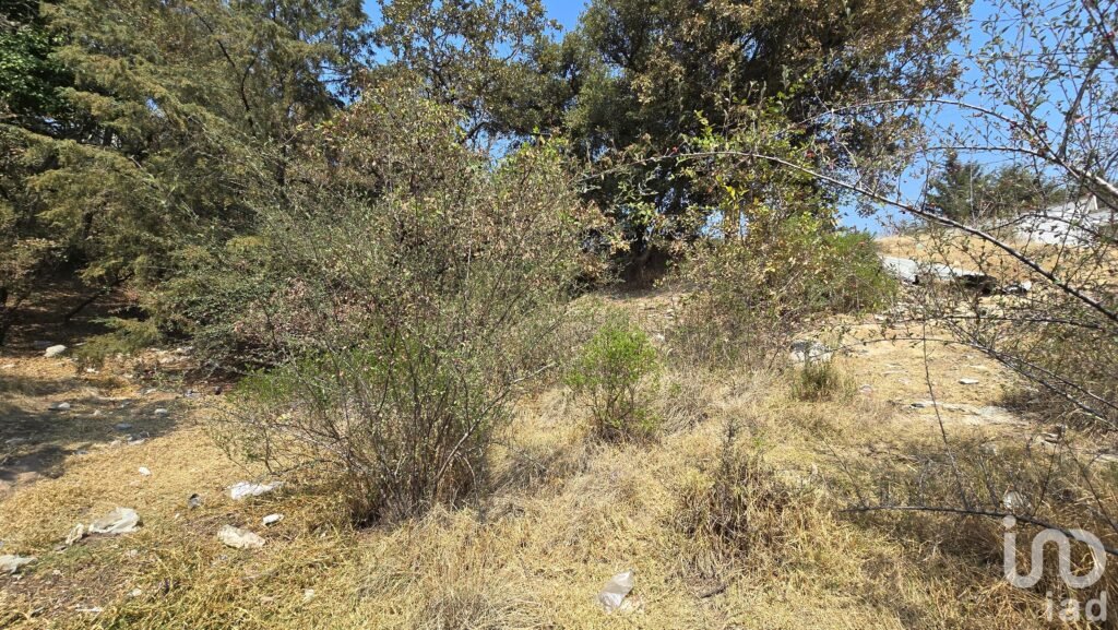 Terreno en Venta en Loma del Rio Nicolas Romero