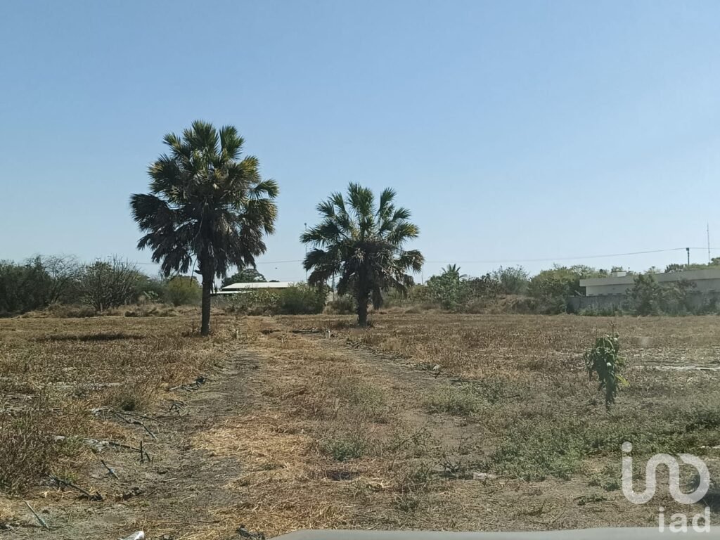 VENTA DE TERRENO EN RIOVERDE S.L.P.
