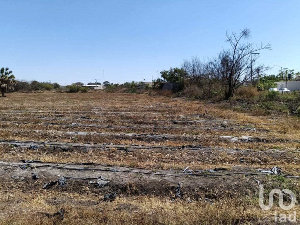 VENTA DE TERRENO EN RIOVERDE S.L.P.
