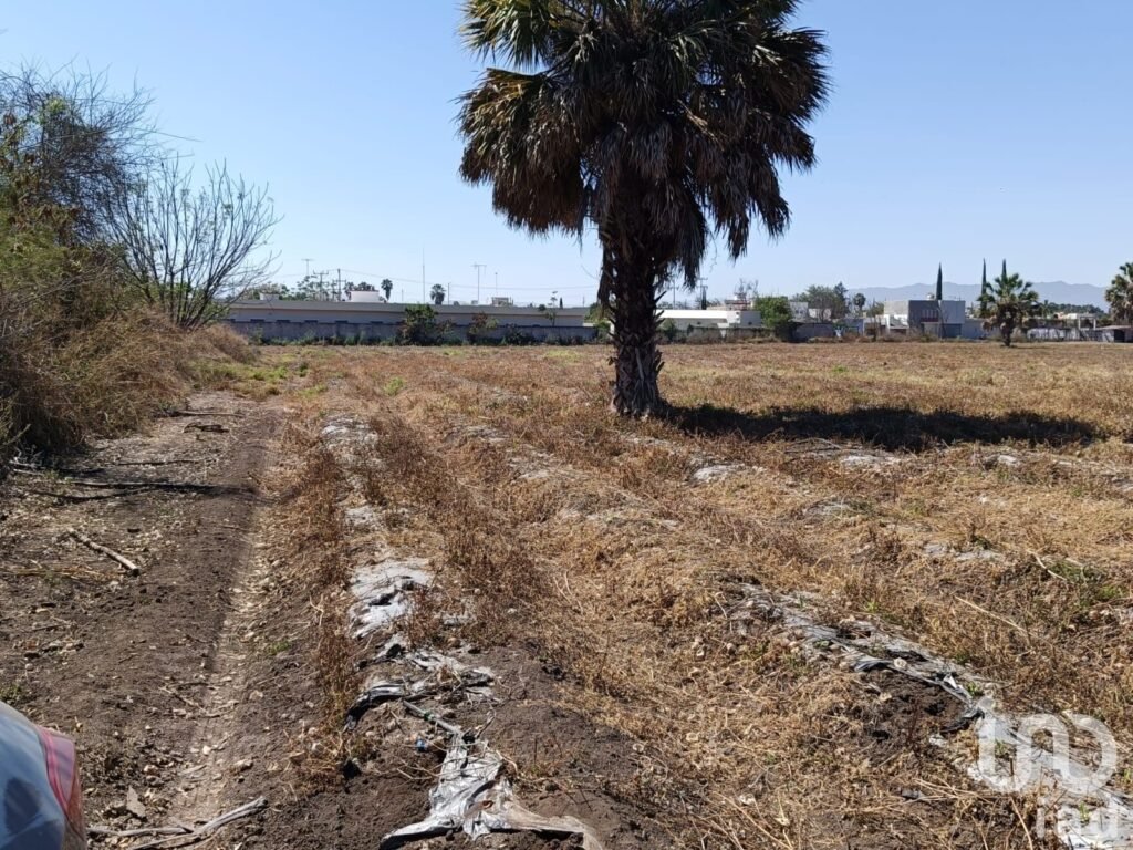 VENTA DE TERRENO EN RIOVERDE S.L.P.