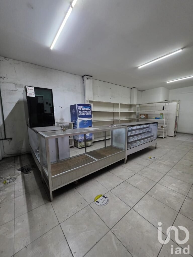 Renta de local comercial en la avenida Xalapa en Xalapa Veracruz