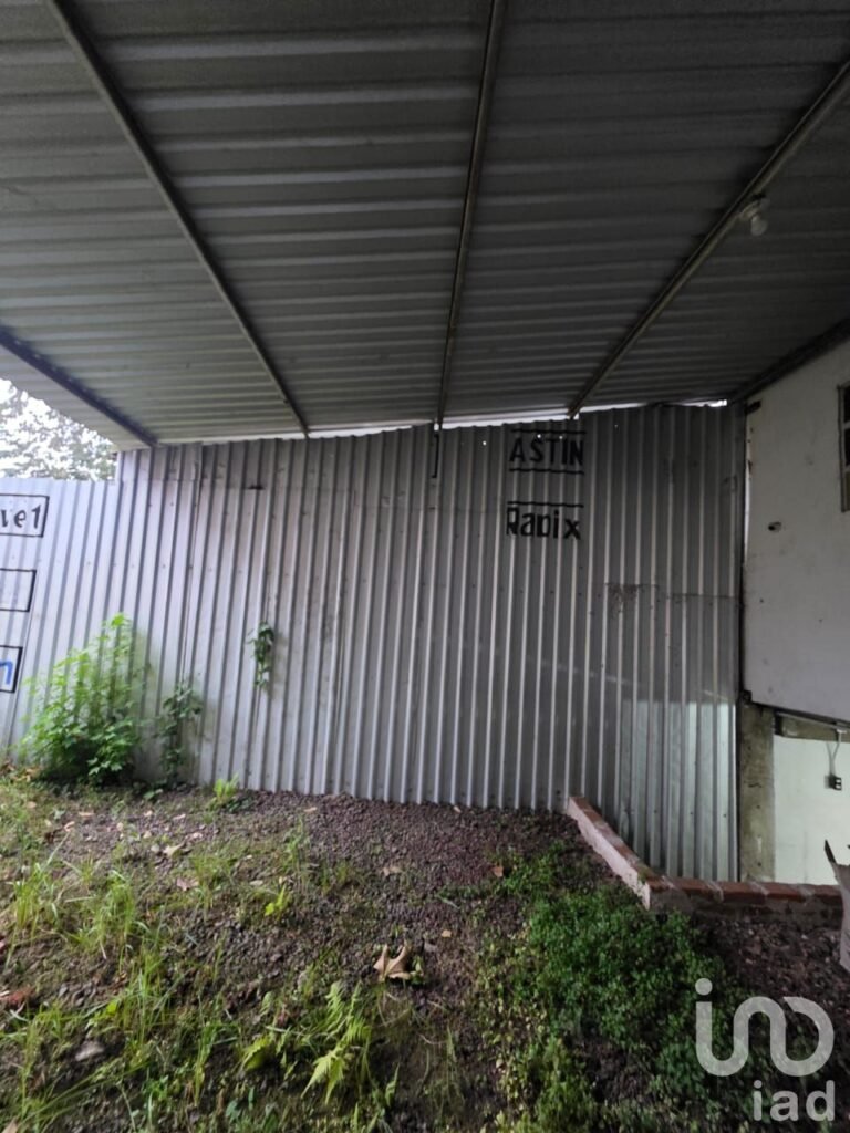 Renta de local comercial en la avenida Xalapa en Xalapa Veracruz