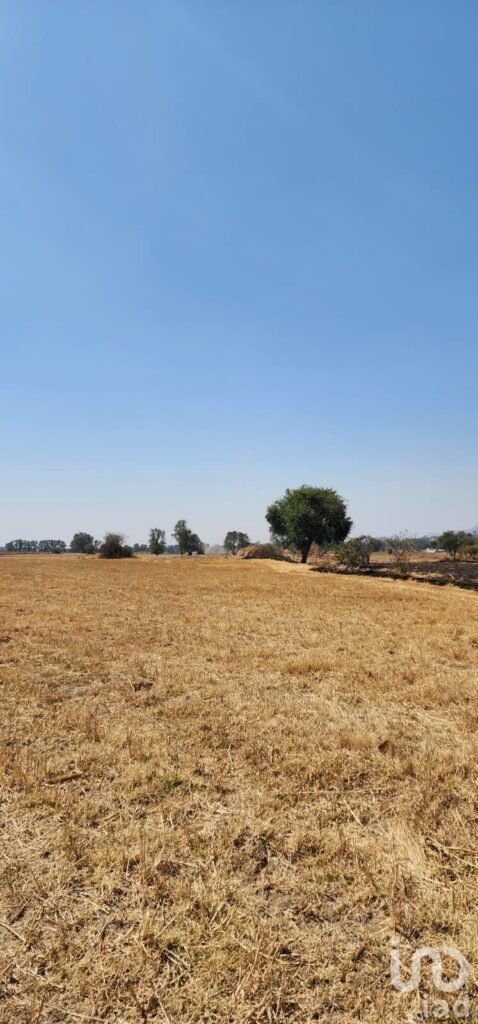 TERRENO EN VENTA EN AMECAMECA
