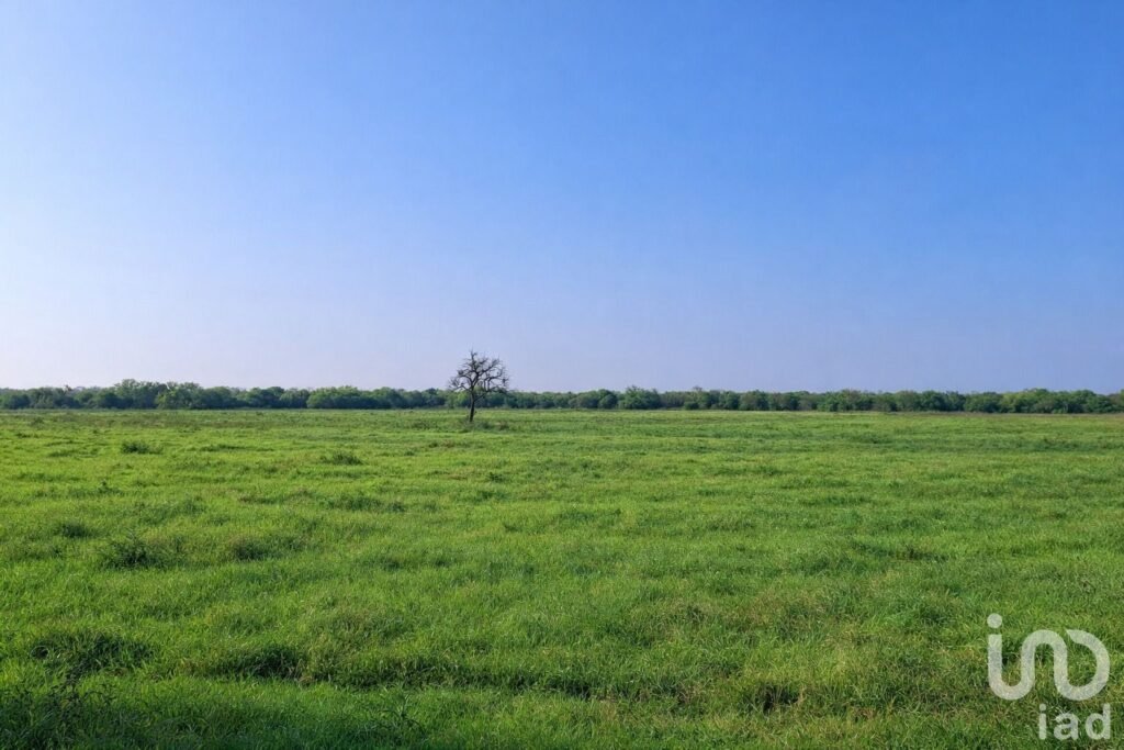 "Extraordinaria Oportunidad de Inversión Única en Rancho en Operación de 440 has en Cadereyta, N.L..