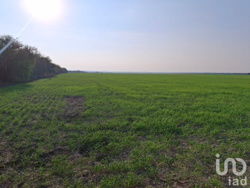 "Extraordinaria Oportunidad de Inversión Única en Rancho en Operación de 440 has en Cadereyta, N.L..