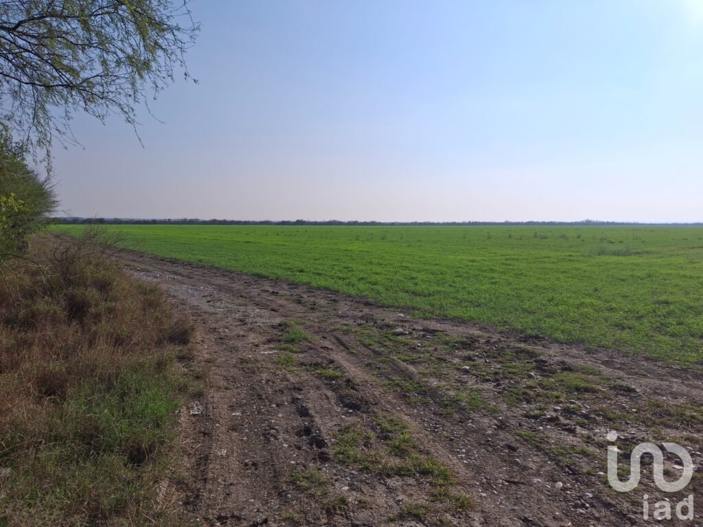 "Extraordinaria Oportunidad de Inversión Única en Rancho en Operación de 440 has en Cadereyta, N.L..