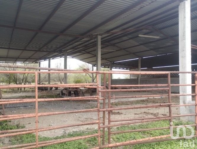 "Extraordinaria Oportunidad de Inversión Única en Rancho en Operación de 440 has en Cadereyta, N.L..