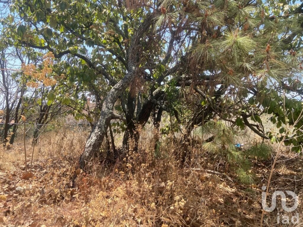 Se vende Terreno plano en El Palomar, Tlajomulco de Zúñiga, Jalisco.